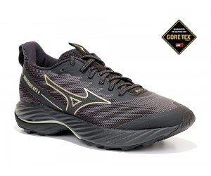 Mizuno. WAVE RIDER GTX 2 W